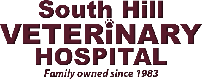South Hill Veterinary Hospital